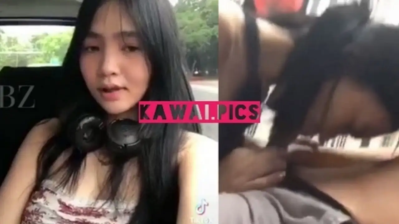 3 Video HANARY