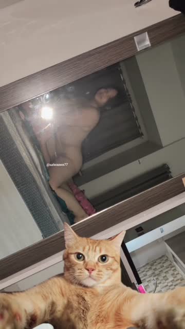 Bokep Indo Bokep Indo