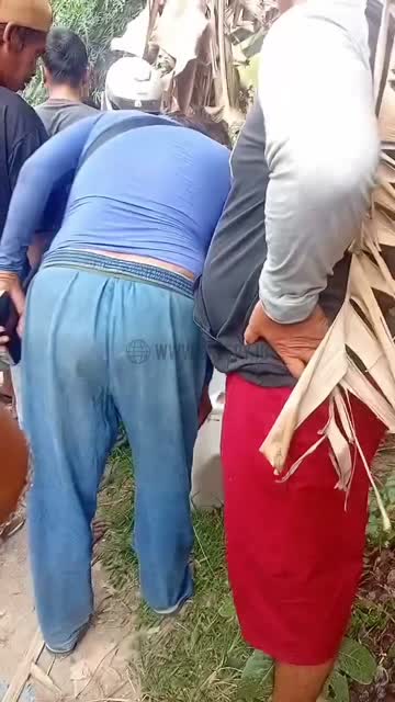 Bokep Indo Box kontainer