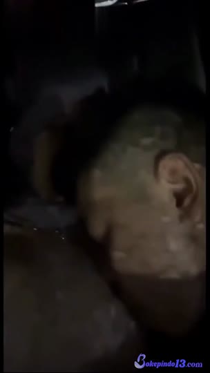Bokep Indo Y