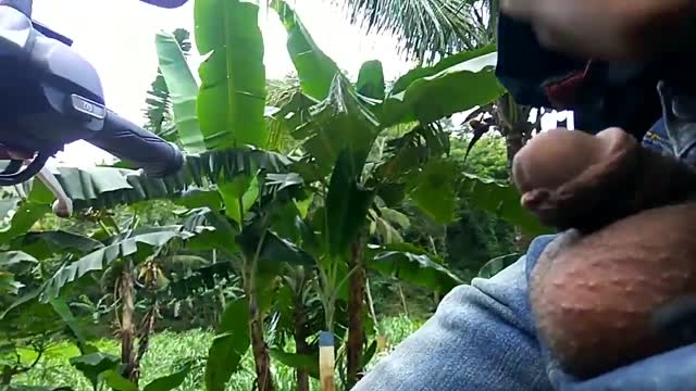 Bokep Indo Xxvt
