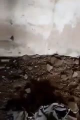 Bokep Indo dipaksa