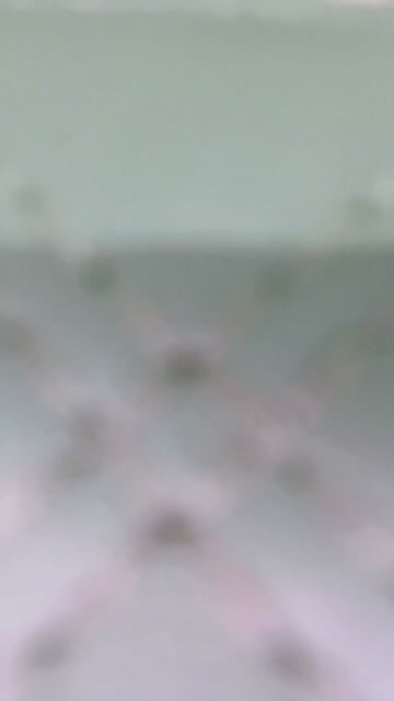 Bokep Indo Bokep Indo