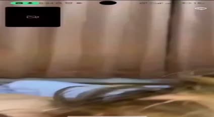Bokep Indo segment_021