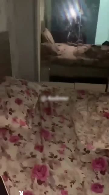 Bokep Indo Bokep Indo