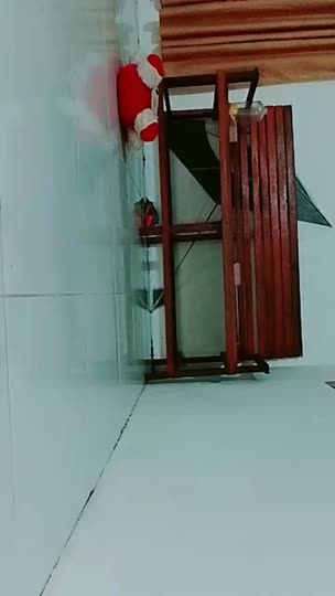 XD Mirna 3