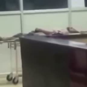 Bokep Indo Bokep Indo