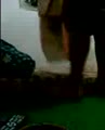 Bokep Indo Bokep Indo