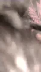 Bokep Indo Bokep Indo