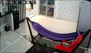 Bokep Indo dd3