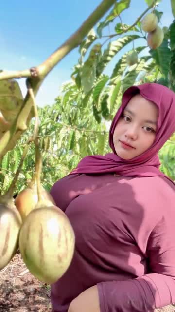 Bokep Indo Bokep Indo