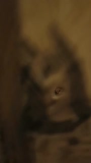 Bokep Indo j7esLW3l1