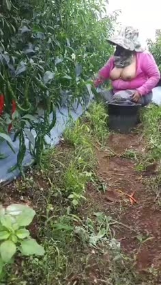 Rbbhasmee Pbfantasi (hasmeehgg69) Xbbb