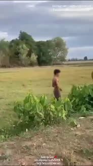 Bokep Indo Bokep Indo