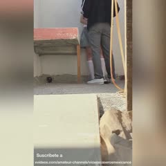 Bokep Indo Bokep Indo