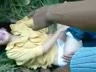 Bokep Indo IlvKV-hkdac1rgmiku
