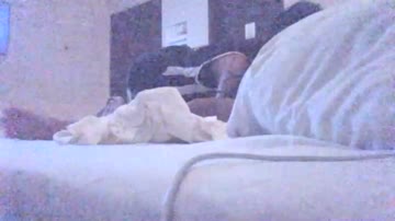 Bokep Indo 147