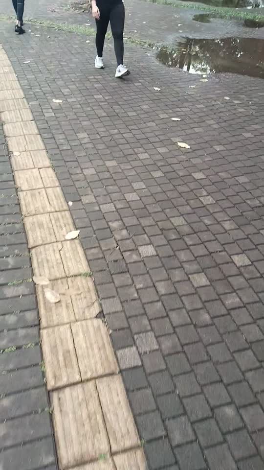 Bokep Indo Bokep Indo