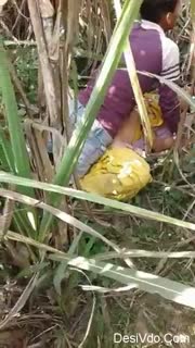 Bokep Indo Bokep Indo