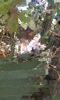 tragedi kebun pisang