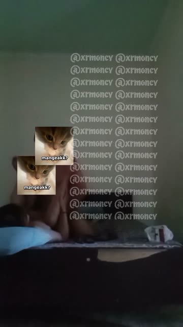 Bokep Indo Bokep Indo