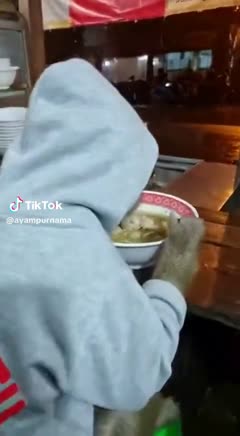 Bokep Indo Bokep Indo