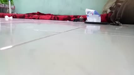 Bokep Indo DosWii 02