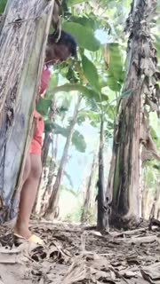 Bokep Indo _240p