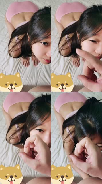 Browcil Meqqilue 5951