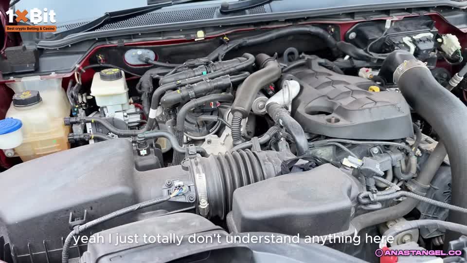 Mechanic receives intimate reward after service