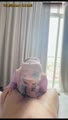 Bokep Indo nov47