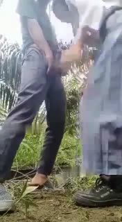 Bokep Indo Bokep Indo