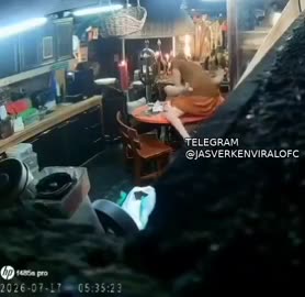 Yang Lagi Rame Biksu Thailand 02 – Bokep Indo Viral