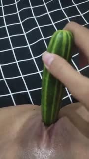 Bokep Indo Ayna 4