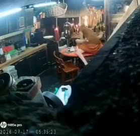 Biksu yang lagi viral