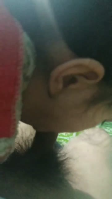 Bokep Indo Bokep Indo