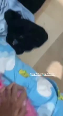 Bokep Indo Bokep Indo