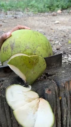 Bokep Indo Bokep Indo