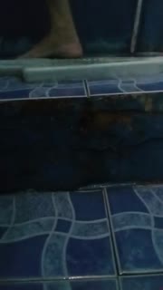 Bokep Indo _240p