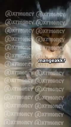 Bokep Indo Bokep Indo