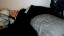 Bokep Indo Bokep Indo
