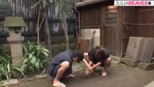 Bokep Indo Bokep Indo