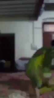 Bokep Indo Bokep Indo