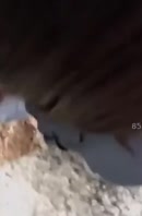 Bokep Indo HlSpKgEm2