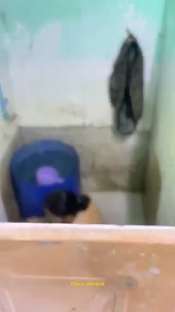 Bokep Indo emru 02