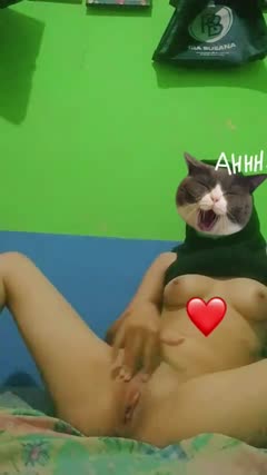 Bokep Indo Bokep Indo
