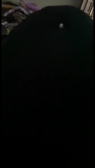 Bokep Indo 2586