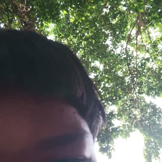 Bokep Indo Bokep Indo