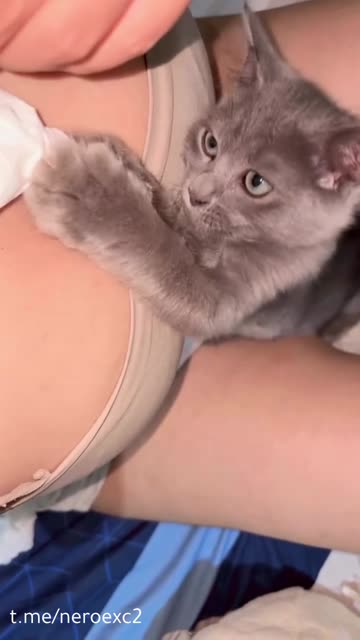 Bokep Indo video_2026 -48-47