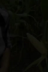 Bokep Indo Bokep Indo
